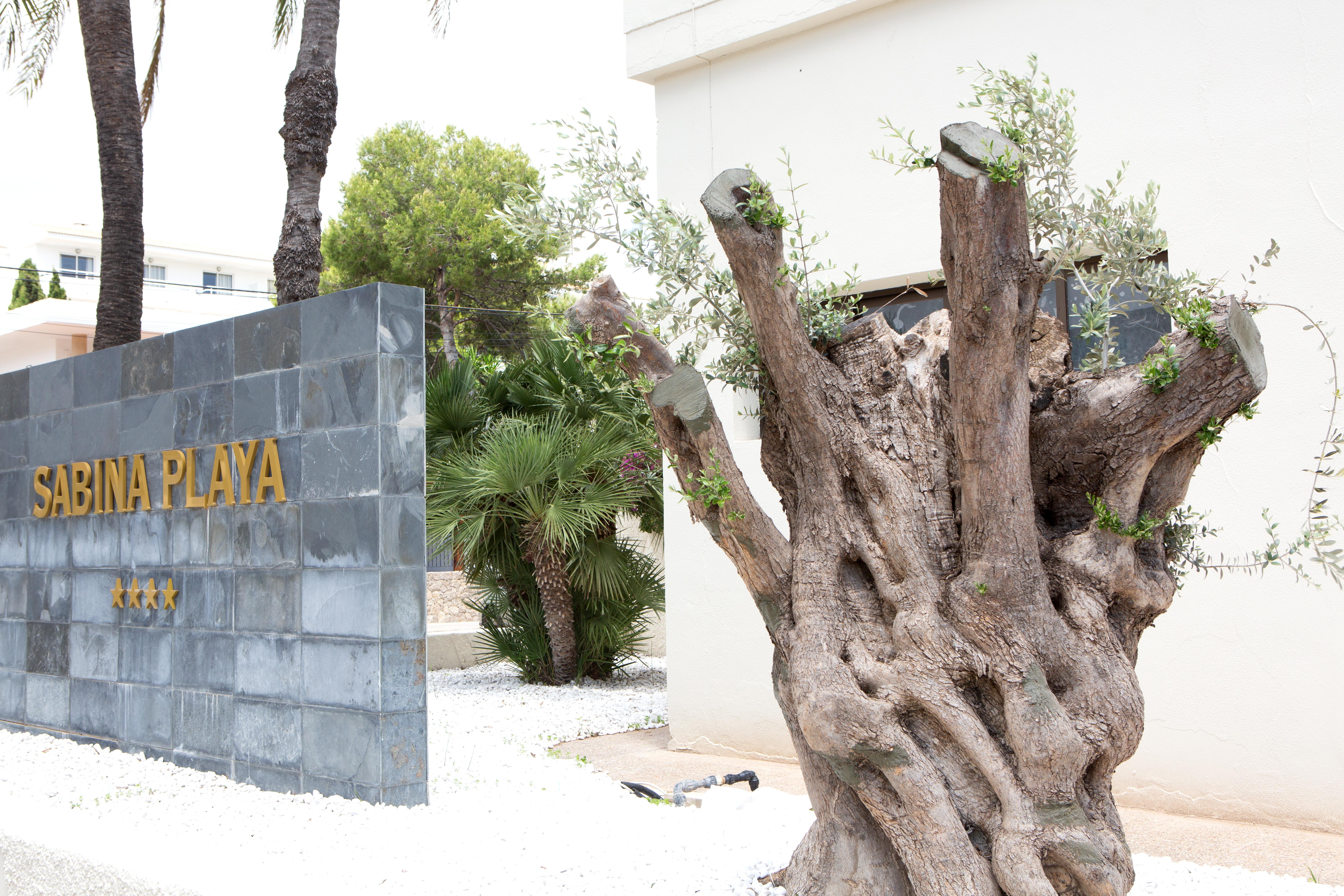 Hotel Sabina Playa (Adults Only) Cala Millor  Exterior foto